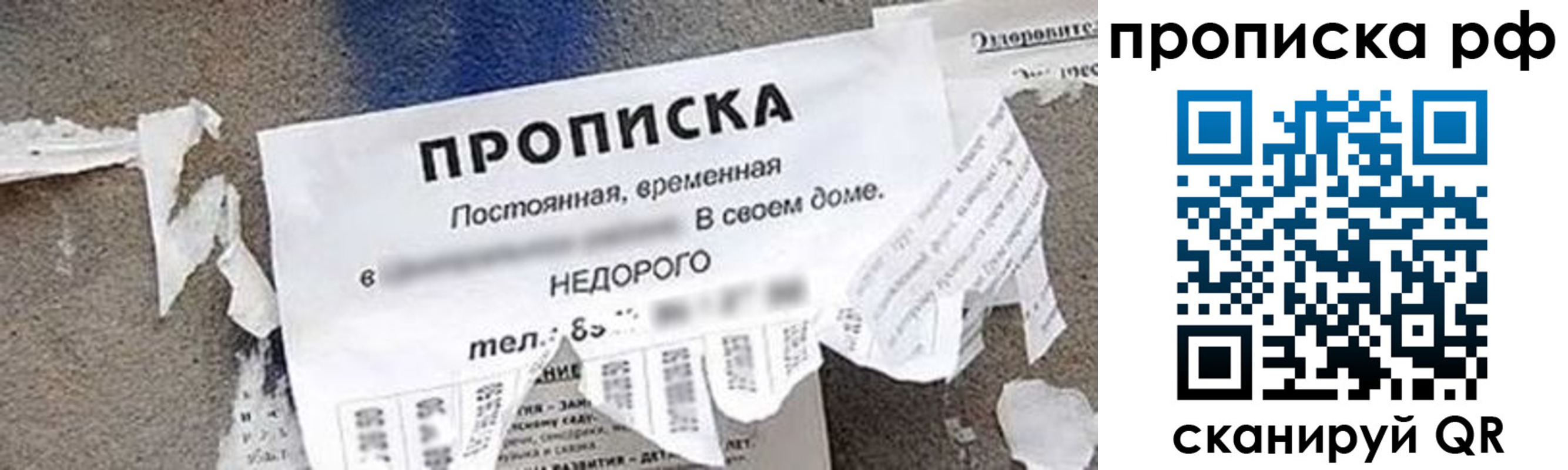 где прописаться в Щёлкино